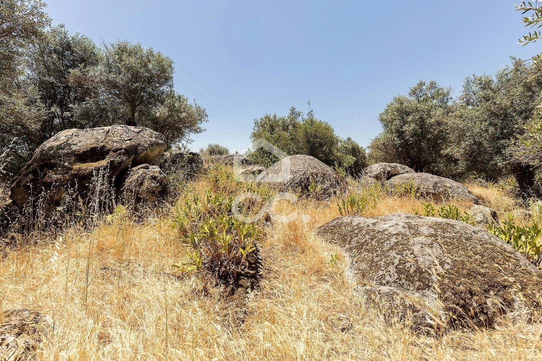 Quinta T3 para Venda em Bacelo e Senhora da Saúde Foto 43