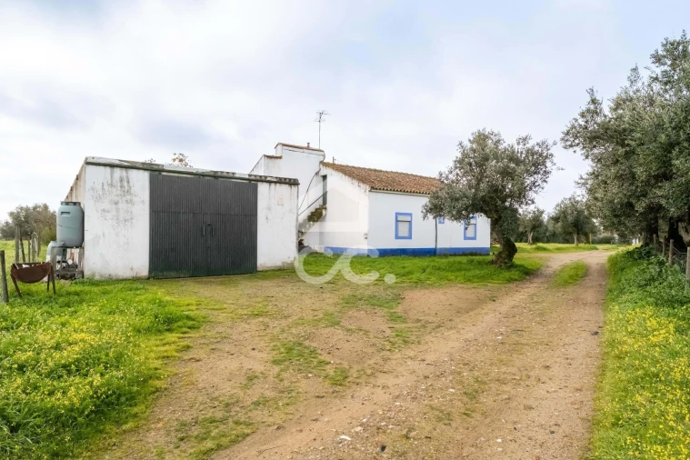 Quinta T3 para Venda em Bacelo e Senhora da Saúde Foto 84