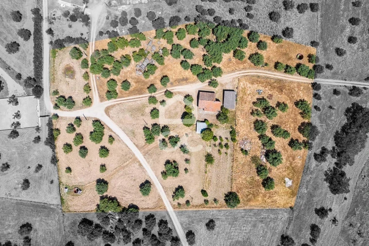 Quinta T3 para Venda em Bacelo e Senhora da Saúde Foto 7