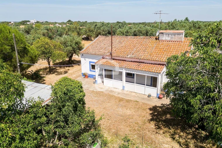 Quinta T3 para Venda em Bacelo e Senhora da Saúde Foto 59