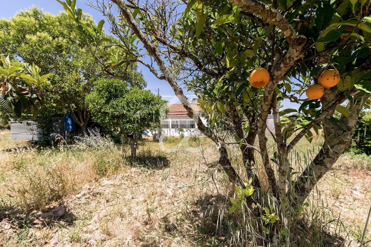 Quinta T3 para Venda em Bacelo e Senhora da Saúde Foto 38