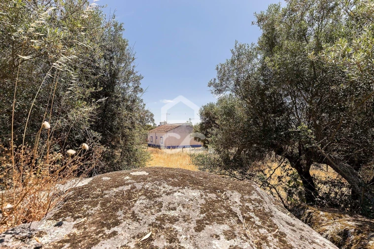 Quinta T3 para Venda em Bacelo e Senhora da Saúde Foto 46