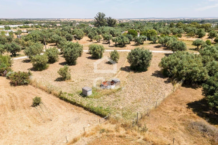 Quinta T3 para Venda em Bacelo e Senhora da Saúde Foto 69