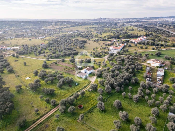 Quinta T3 para Venda em Bacelo e Senhora da Saúde Foto 77