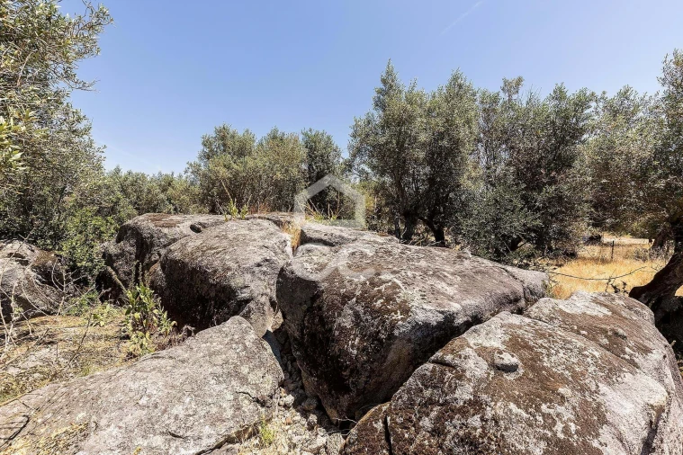 Quinta T3 para Venda em Bacelo e Senhora da Saúde Foto 47