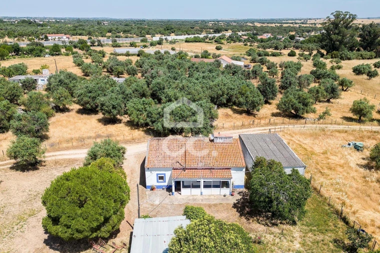 Quinta T3 para Venda em Bacelo e Senhora da Saúde Foto 58