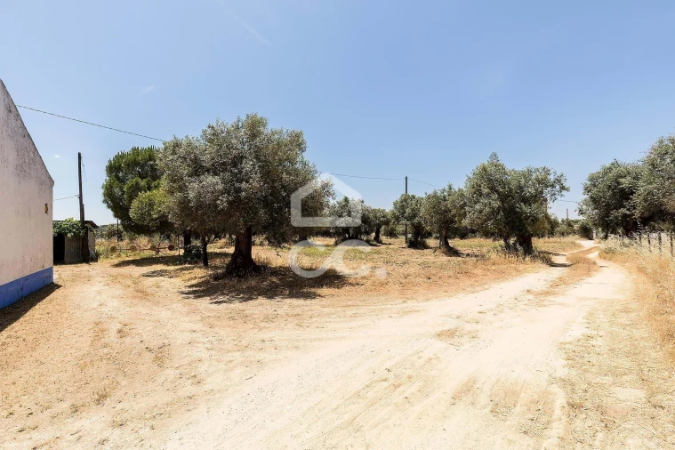 Quinta T3 para Venda em Bacelo e Senhora da Saúde Foto 52