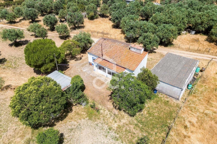 Quinta T3 para Venda em Bacelo e Senhora da Saúde Foto 60