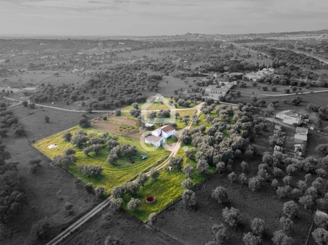 Quinta T3 para Venda em Bacelo e Senhora da Saúde Foto 80