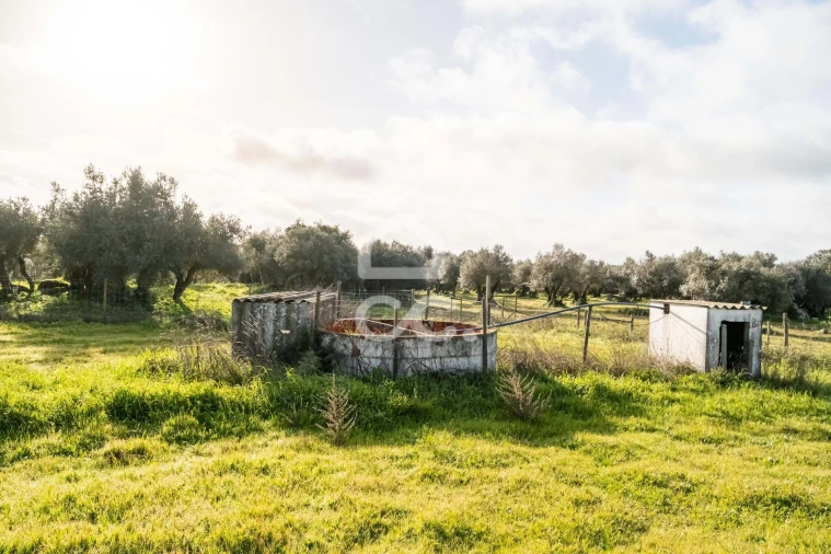 Quinta T3 para Venda em Bacelo e Senhora da Saúde Foto 94