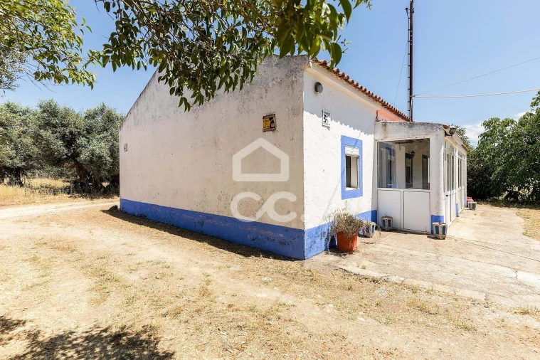 Quinta T3 para Venda em Bacelo e Senhora da Saúde Foto 26