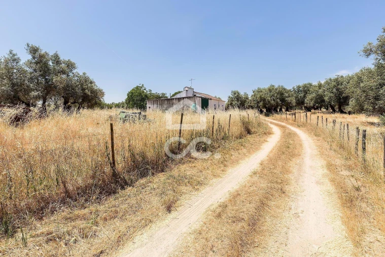 Quinta T3 para Venda em Bacelo e Senhora da Saúde Foto 32