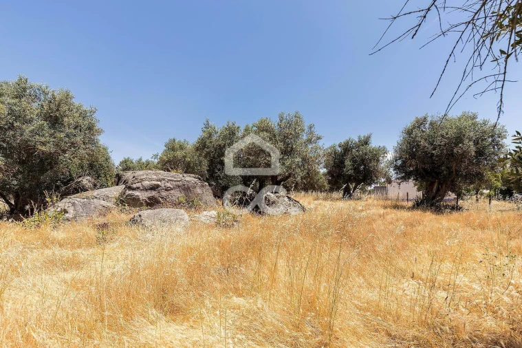 Quinta T3 para Venda em Bacelo e Senhora da Saúde Foto 48