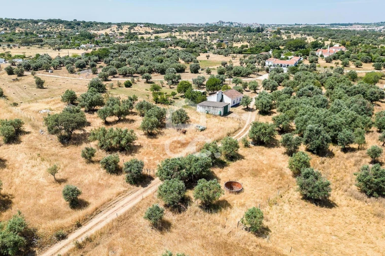 Quinta T3 para Venda em Bacelo e Senhora da Saúde Foto 73