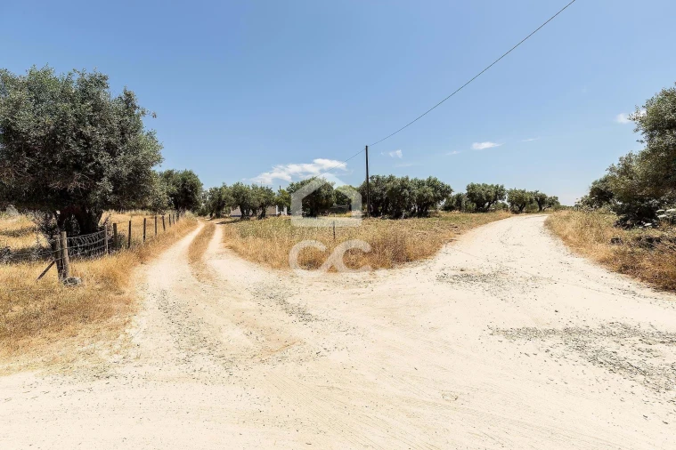 Quinta T3 para Venda em Bacelo e Senhora da Saúde Foto 49