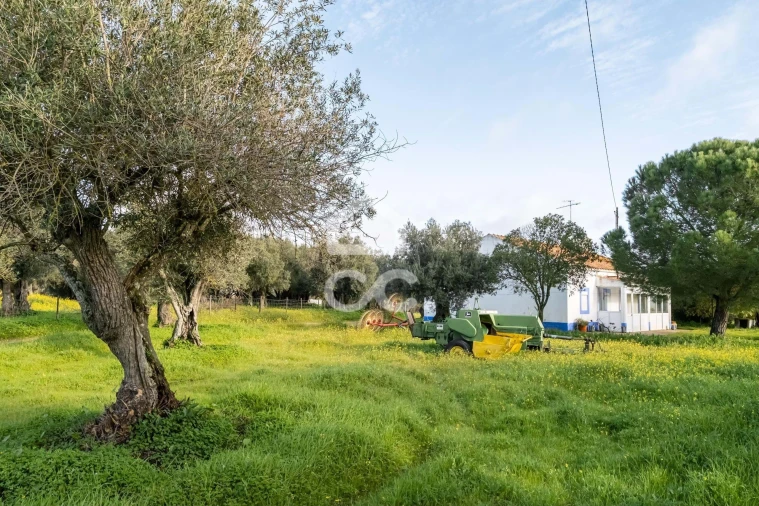 Quinta T3 para Venda em Bacelo e Senhora da Saúde Foto 95