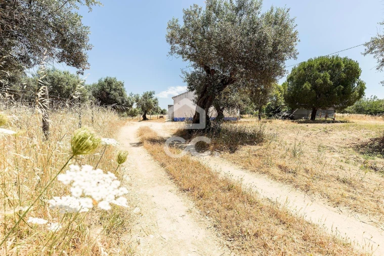 Quinta T3 para Venda em Bacelo e Senhora da Saúde Foto 50