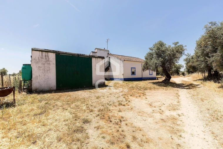 Quinta T3 para Venda em Bacelo e Senhora da Saúde Foto 30