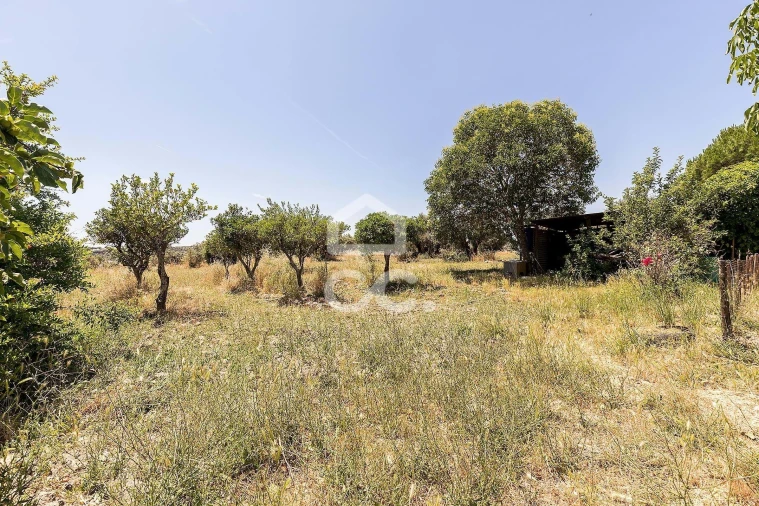 Quinta T3 para Venda em Bacelo e Senhora da Saúde Foto 39