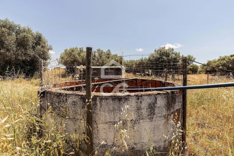 Quinta T3 para Venda em Bacelo e Senhora da Saúde Foto 34