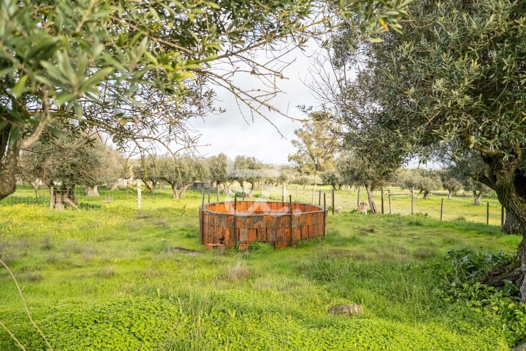 Quinta T3 para Venda em Bacelo e Senhora da Saúde Foto 88