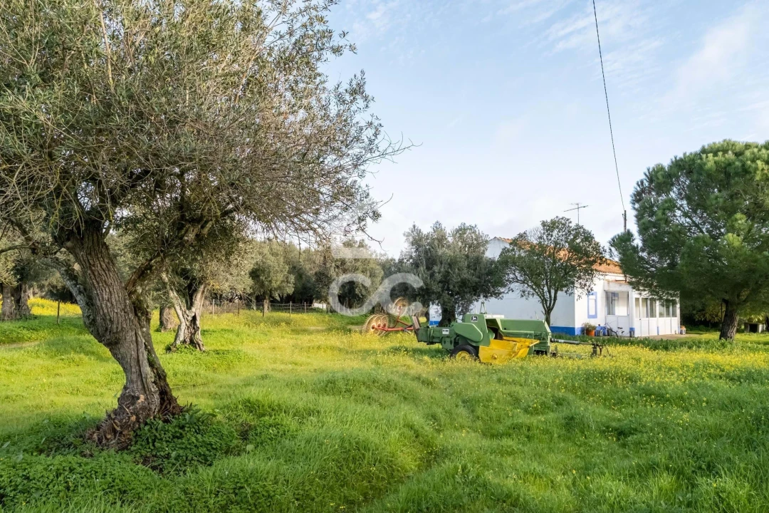 Quinta T3 para Venda em Bacelo e Senhora da Saúde Foto 95