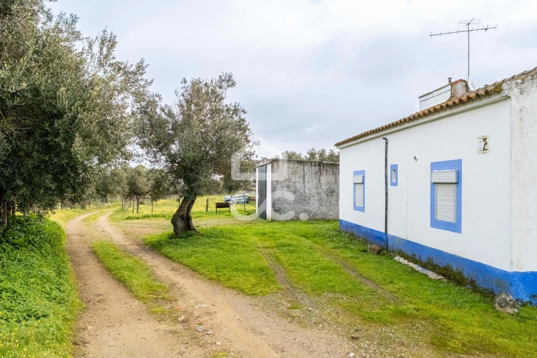 Quinta T3 para Venda em Bacelo e Senhora da Saúde Foto 83