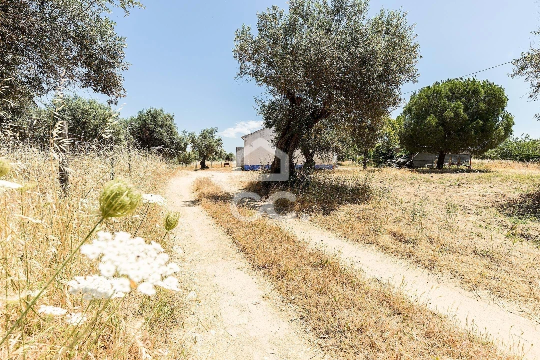 Quinta T3 para Venda em Bacelo e Senhora da Saúde Foto 50