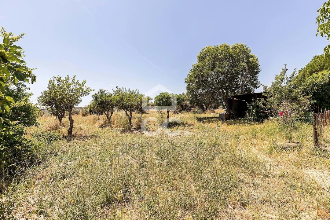 Quinta T3 para Venda em Bacelo e Senhora da Saúde Foto 39