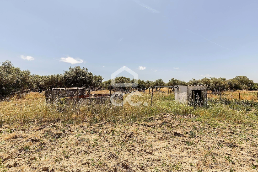 Quinta T3 para Venda em Bacelo e Senhora da Saúde Foto 54