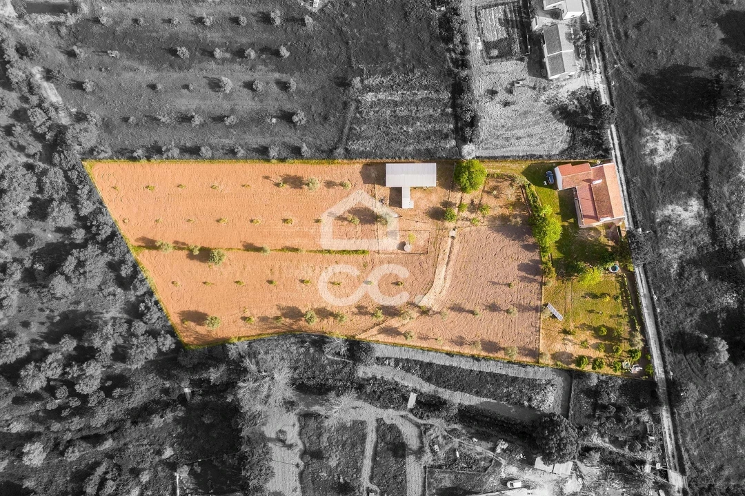 Quinta T4 para Venda em São Bento do Mato Foto 4