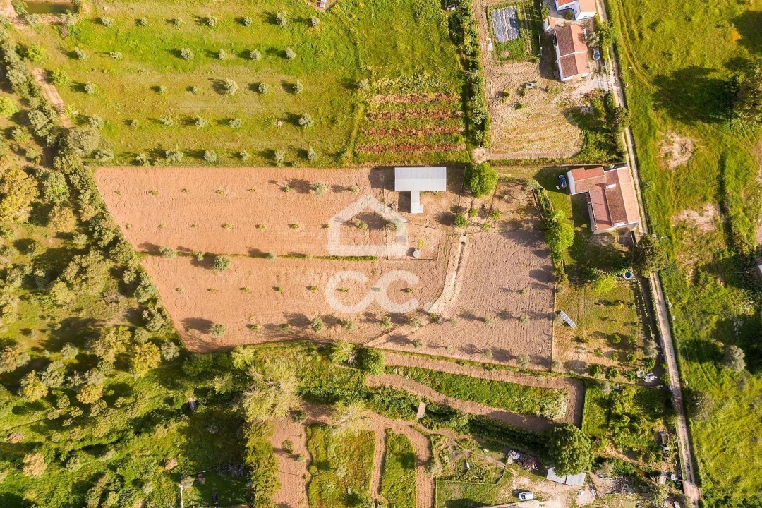 Quinta T4 para Venda em São Bento do Mato Foto 55