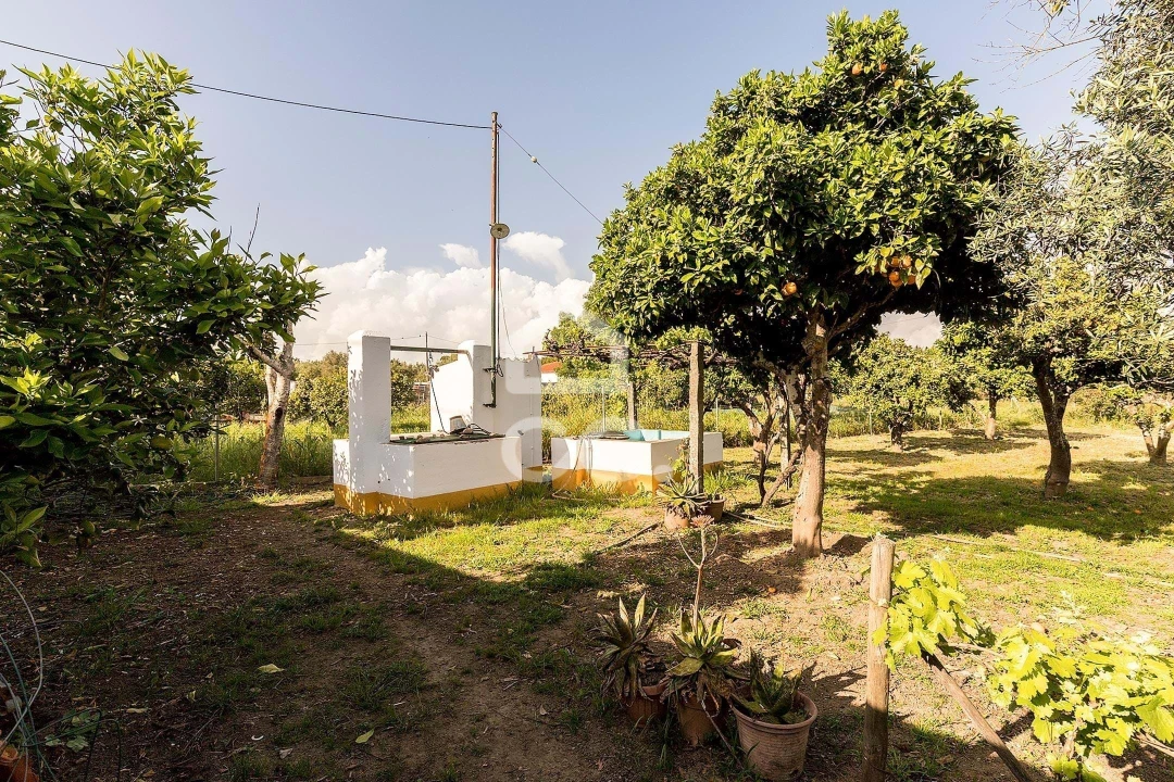 Quinta T4 para Venda em São Bento do Mato Foto 52