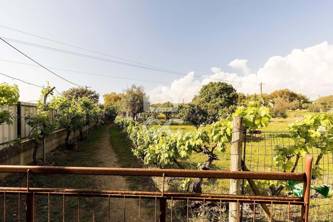 Quinta T4 para Venda em São Bento do Mato Foto 50