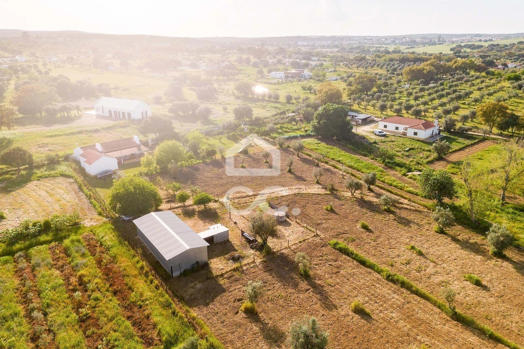 Quinta T4 para Venda em São Bento do Mato Foto 48