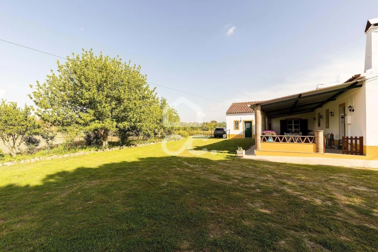 Quinta T4 para Venda em São Bento do Mato Foto 35