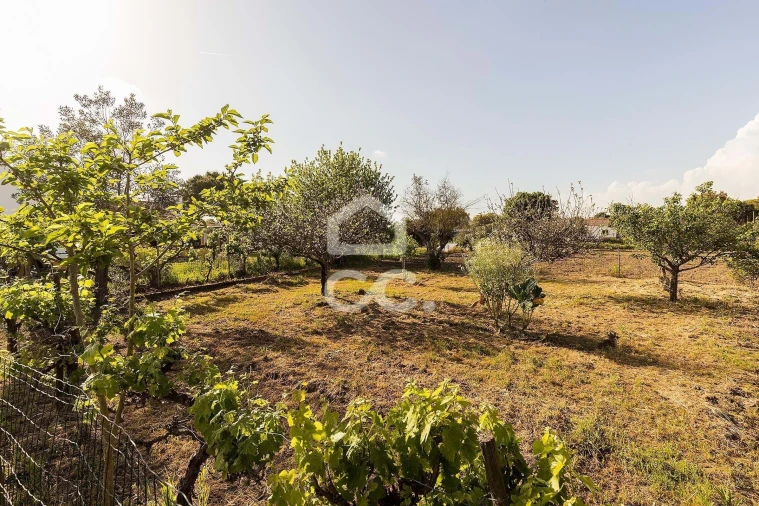 Quinta T4 para Venda em São Bento do Mato Foto 42