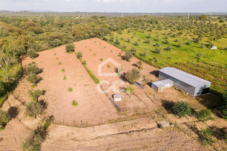 Quinta T4 para Venda em São Bento do Mato Foto 59