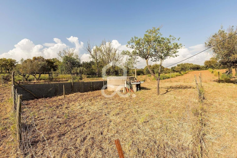 Quinta T4 para Venda em São Bento do Mato Foto 43