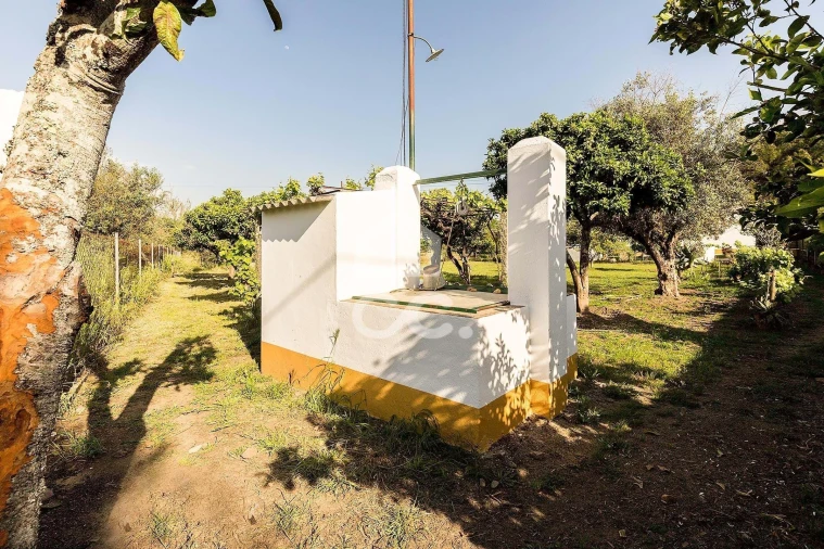 Quinta T4 para Venda em São Bento do Mato Foto 27