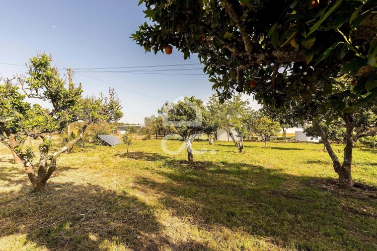 Quinta T4 para Venda em São Bento do Mato Foto 53