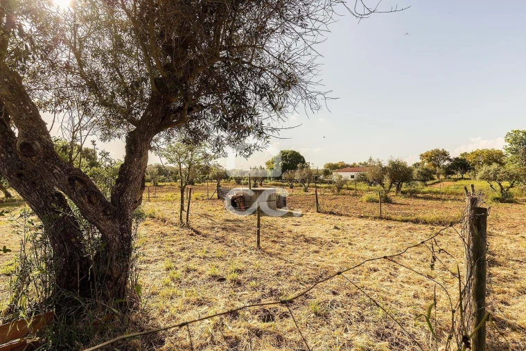 Quinta T4 para Venda em São Bento do Mato Foto 41