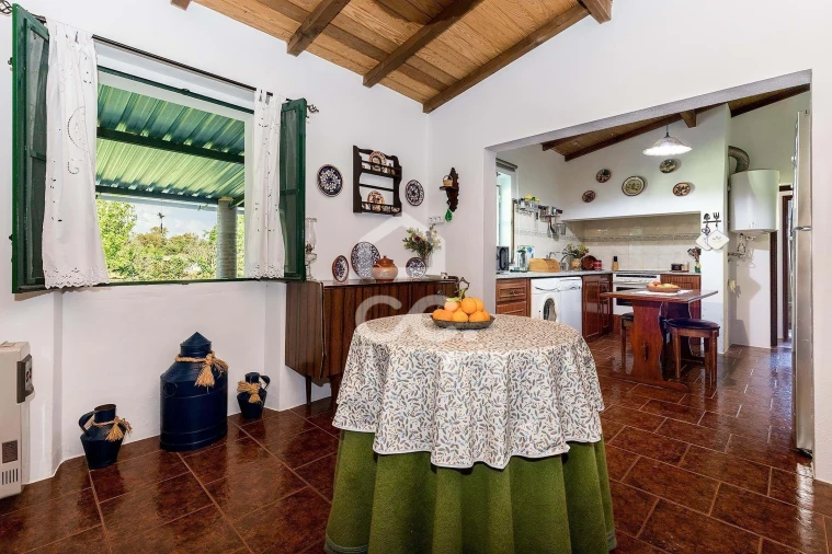 Quinta T4 para Venda em São Bento do Mato Foto 10