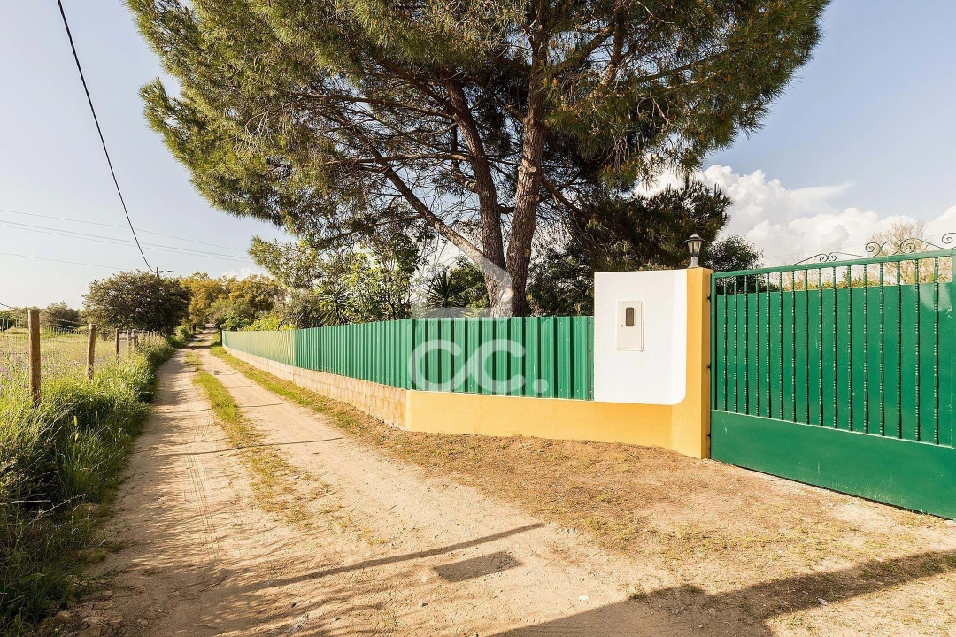 Quinta T4 para Venda em São Bento do Mato Foto 39