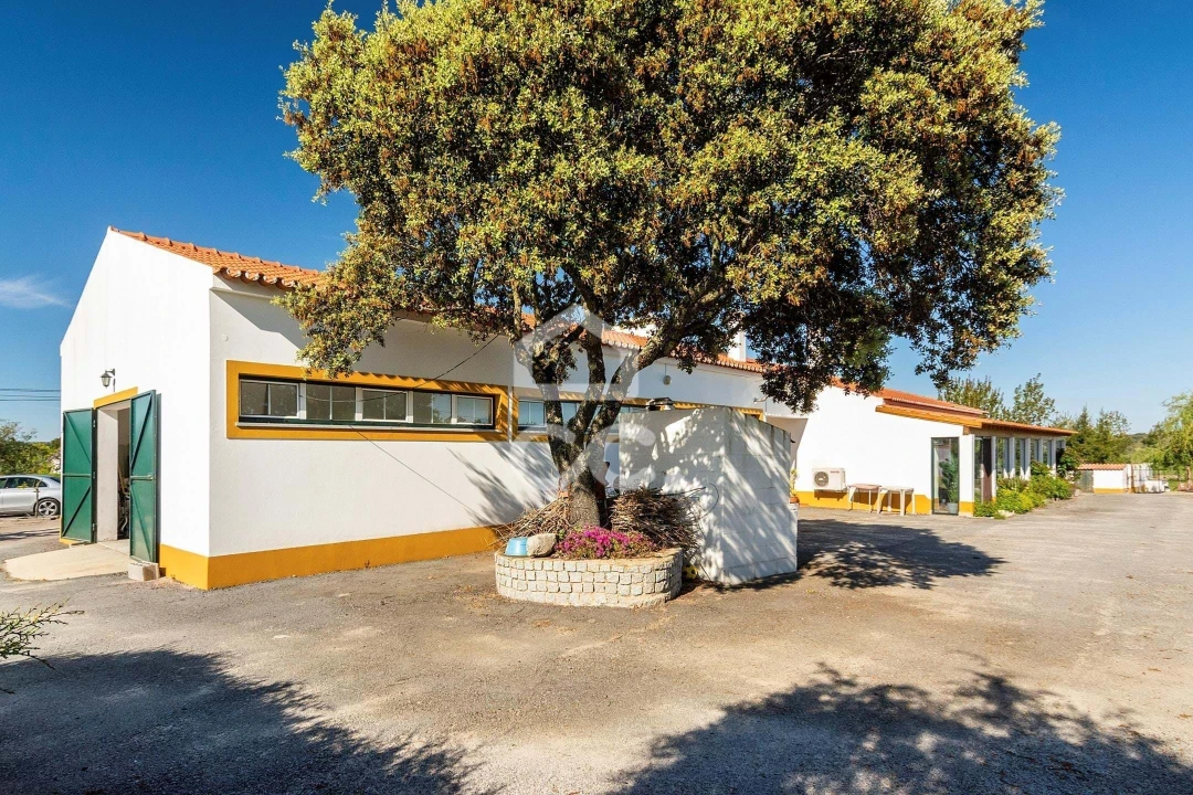 Quinta T6 para Venda em Malagueira e Horta das Figueiras Foto 51