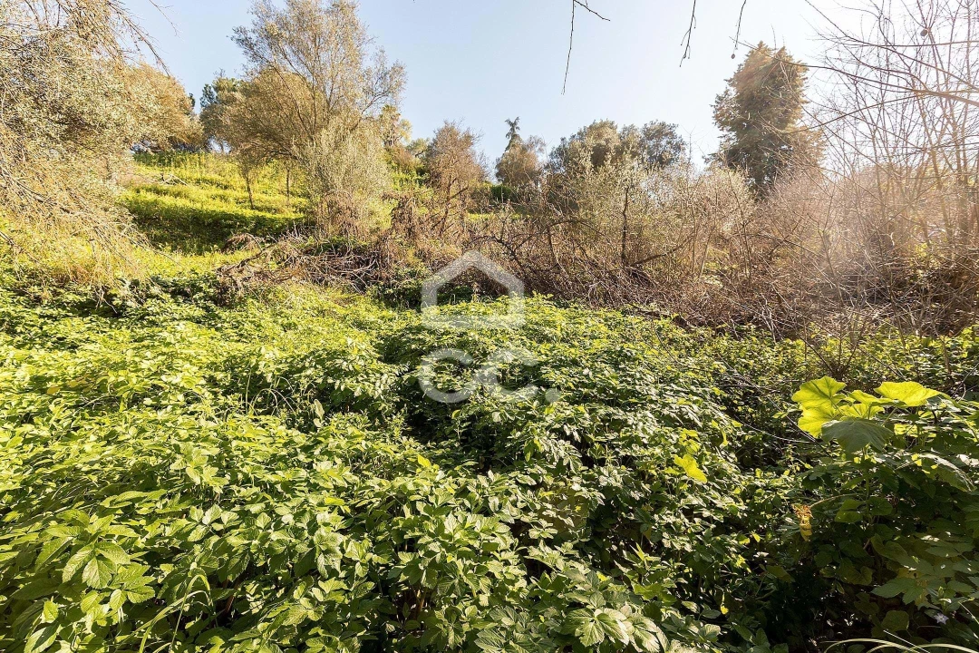 Quinta T10 para Venda em Santo Agostinho e São João Baptista e Santo Amador Foto 104