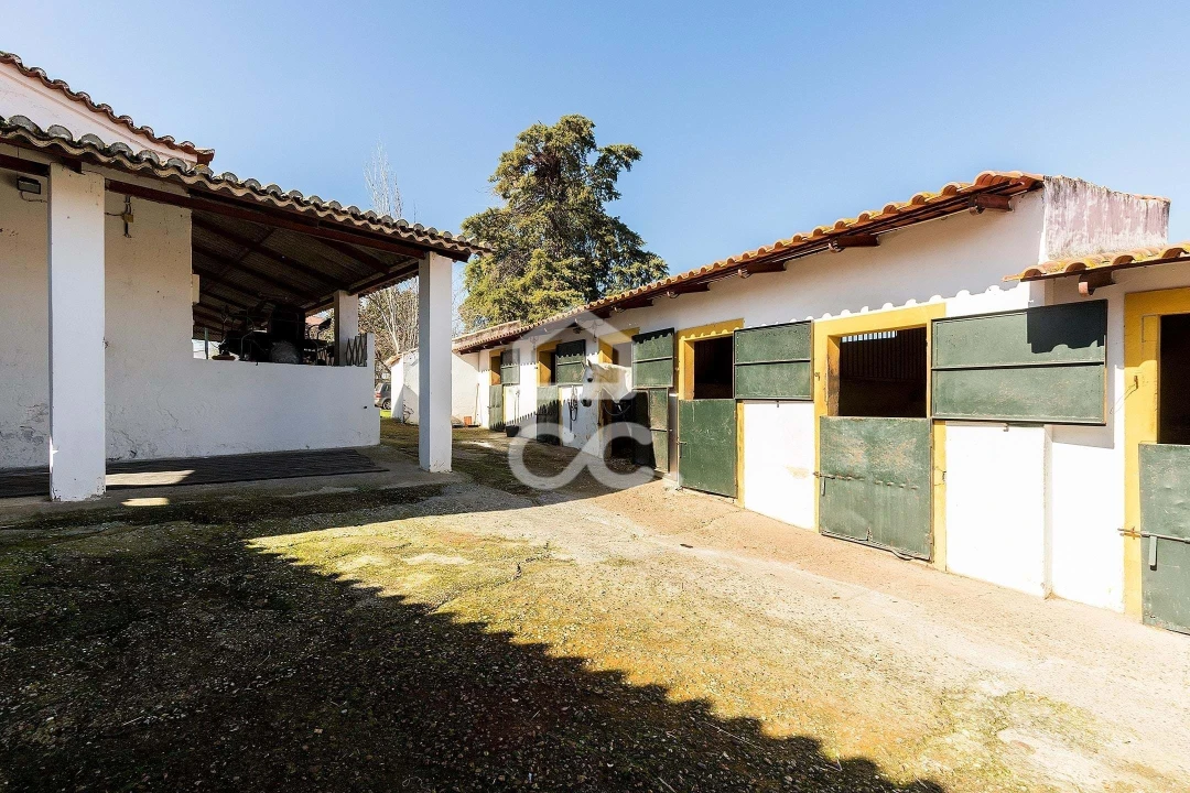 Quinta T10 para Venda em Santo Agostinho e São João Baptista e Santo Amador Foto 69