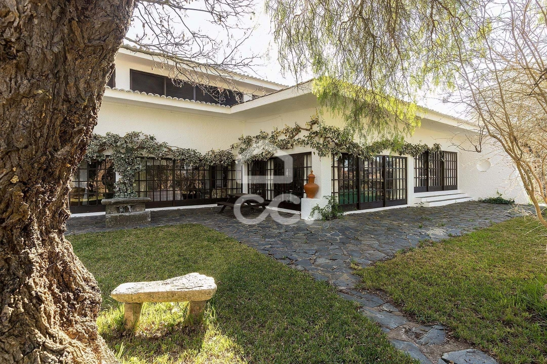 Quinta T10 para Venda em Santo Agostinho e São João Baptista e Santo Amador Foto 59