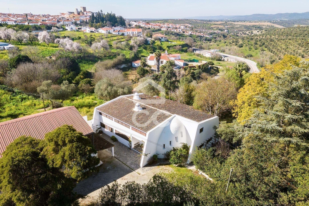 Quinta T10 para Venda em Santo Agostinho e São João Baptista e Santo Amador Foto 87