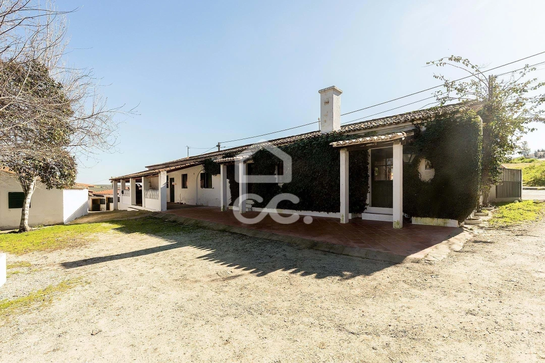 Quinta T10 para Venda em Santo Agostinho e São João Baptista e Santo Amador Foto 46